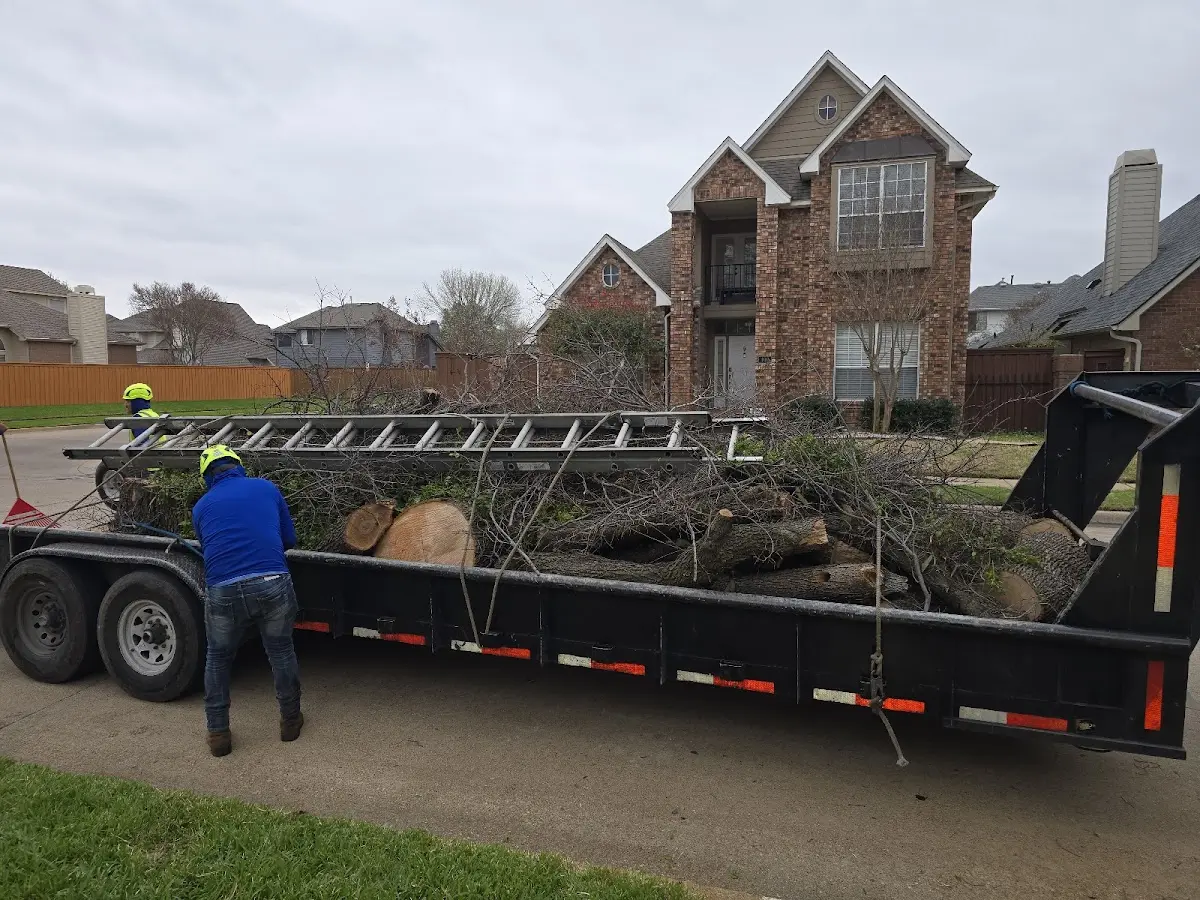 Expert Tree Pest Control with proper safety equipment in Joplin